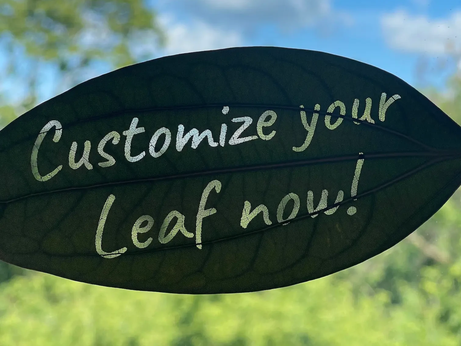 MemoLeaf