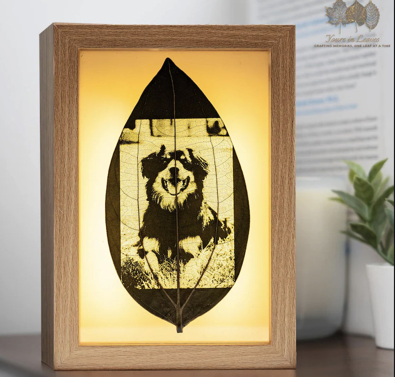 MemoLeaf
