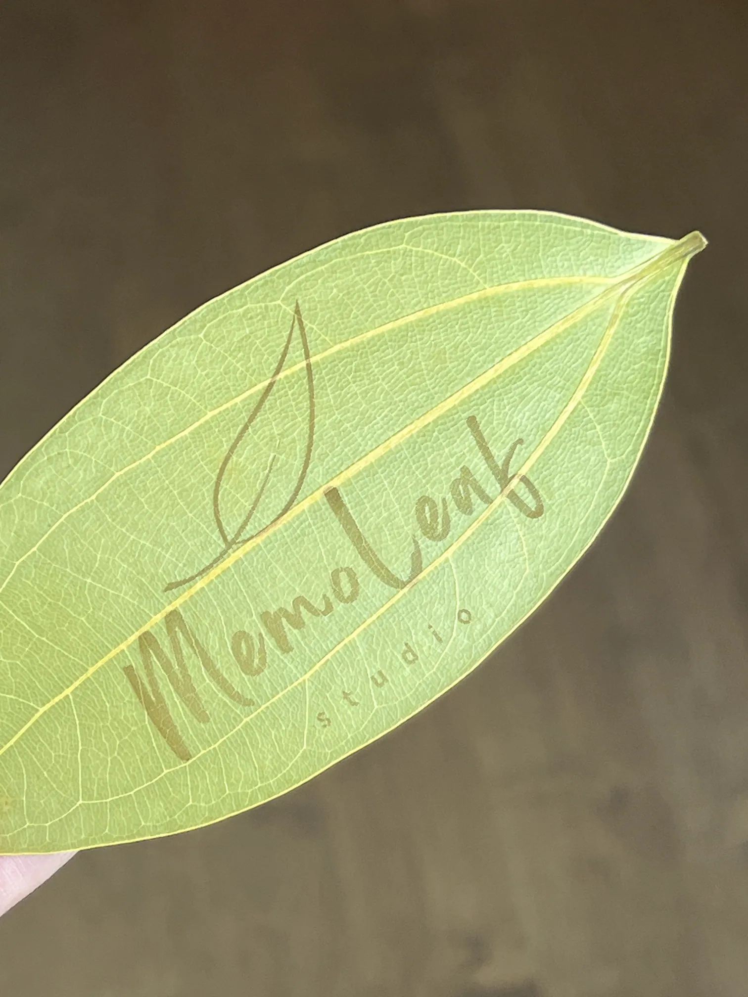 MemoLeaf